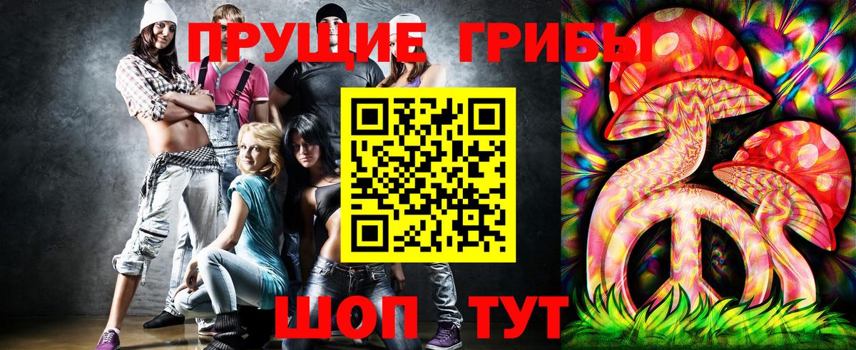 Псилоцибиновые грибы Psilocybine cubensis Сунжа